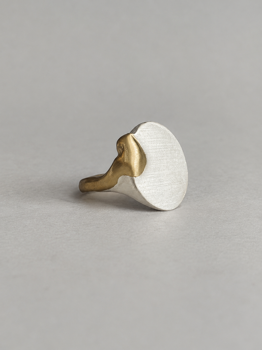 01. Brushed Dripping Signet Ring