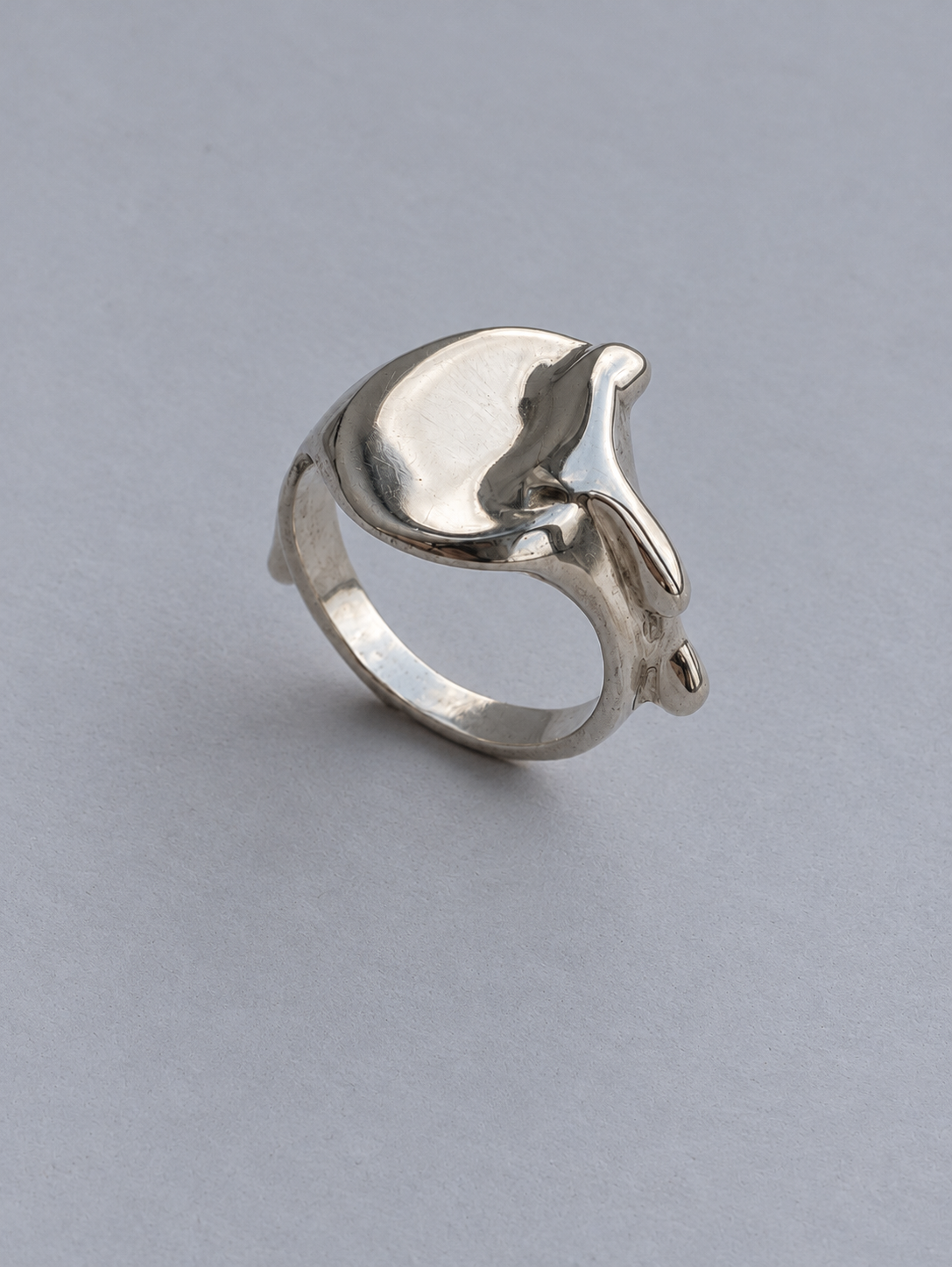 14. Soaked Signet Ring